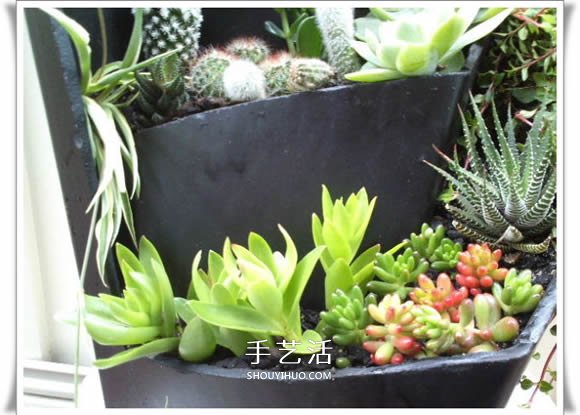 破花盆變盆景的方法 DIY破花盆盆景小制作 -  rpnrmr.com