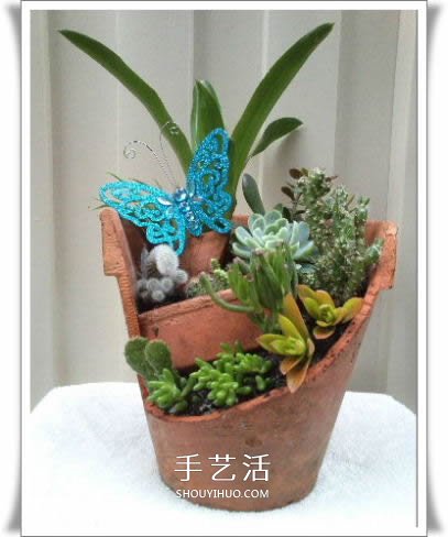破花盆變盆景的方法 DIY破花盆盆景小制作 -  rpnrmr.com