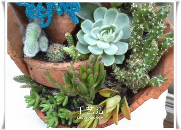 破花盆變盆景的方法 DIY破花盆盆景小制作 -  rpnrmr.com