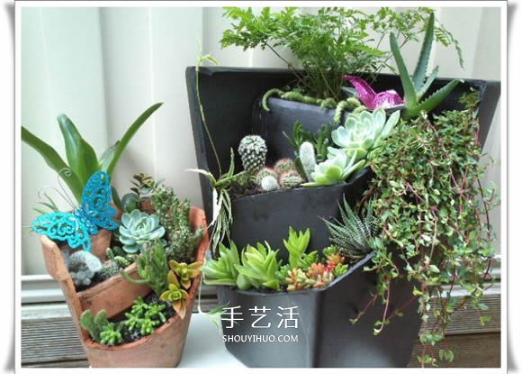 破花盆變盆景的方法 DIY破花盆盆景小制作 -  rpnrmr.com