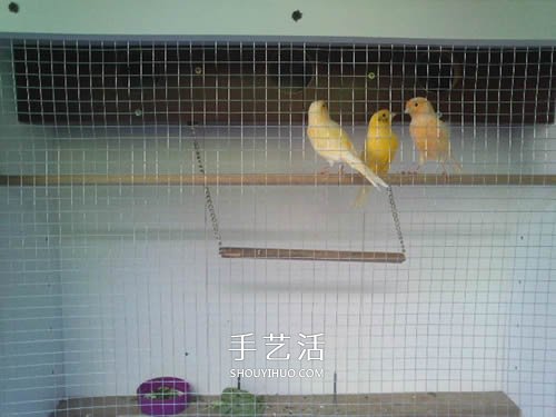 舊書(shū)架改造鳥(niǎo)柜的方法 舊家具DIY制作超大鳥(niǎo)籠 -  rpnrmr.com