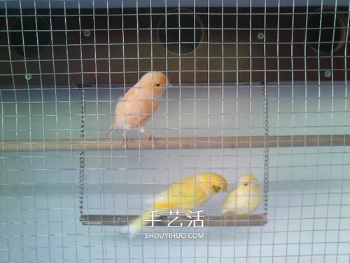 舊書(shū)架改造鳥(niǎo)柜的方法 舊家具DIY制作超大鳥(niǎo)籠 -  rpnrmr.com