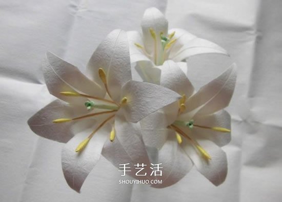 鐵炮百合的折紙過程圖解 手工折鐵炮百合步驟 -  rpnrmr.com