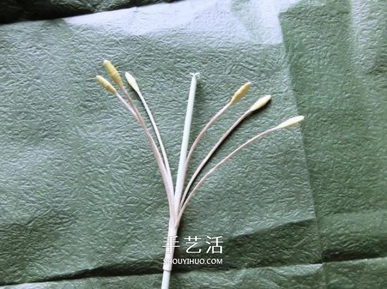 鐵炮百合的折紙過程圖解 手工折鐵炮百合步驟 -  rpnrmr.com