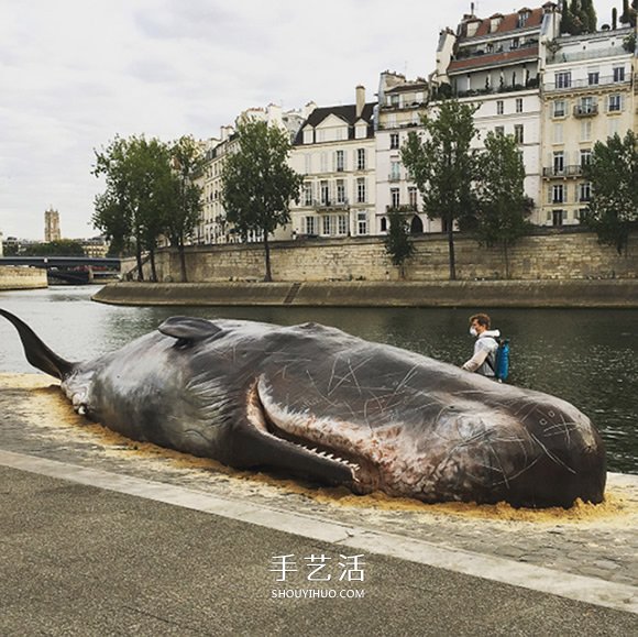 震撼的裝置藝術(shù)！抹香鯨“擱淺”塞納河畔 -  rpnrmr.com