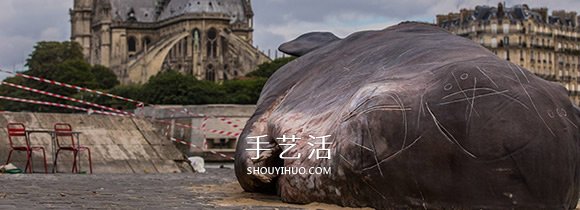 震撼的裝置藝術(shù)！抹香鯨“擱淺”塞納河畔 -  rpnrmr.com