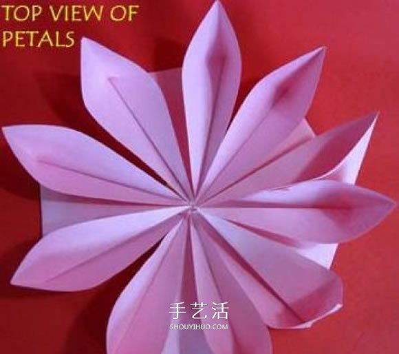 手工海棠花的折法圖解 折紙海棠花的方法步驟 -  rpnrmr.com