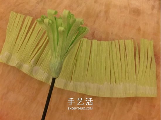 重陽(yáng)節(jié)紙菊花的做法 皺紋紙手工制作菊花圖解 -  rpnrmr.com