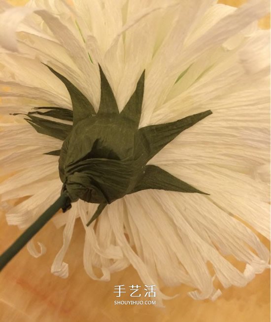 重陽(yáng)節(jié)紙菊花的做法 皺紋紙手工制作菊花圖解 -  rpnrmr.com