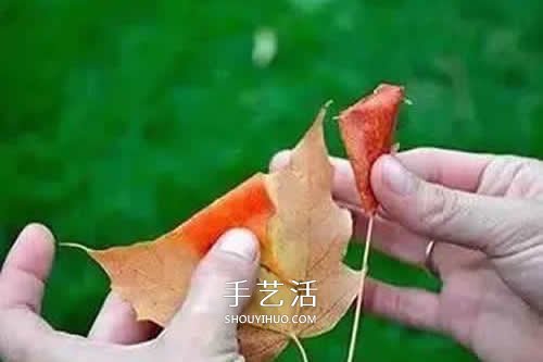 落葉制作玫瑰花圖解 楓葉玫瑰花的做法步驟 -  rpnrmr.com