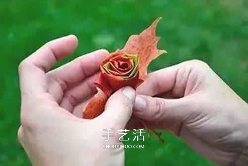 落葉制作玫瑰花圖解 楓葉玫瑰花的做法步驟 -  rpnrmr.com