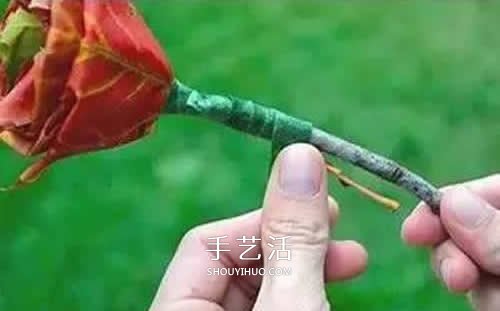 落葉制作玫瑰花圖解 楓葉玫瑰花的做法步驟 -  rpnrmr.com