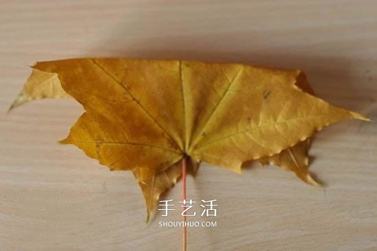 楓葉怎么做玫瑰花教程 簡單楓葉玫瑰DIY方法 -  rpnrmr.com