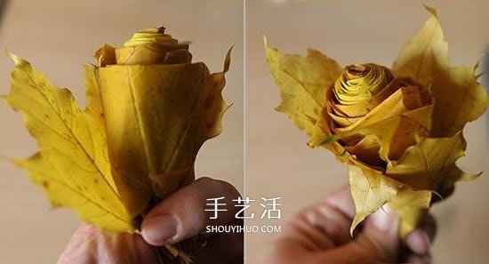 楓葉怎么做玫瑰花教程 簡單楓葉玫瑰DIY方法 -  rpnrmr.com
