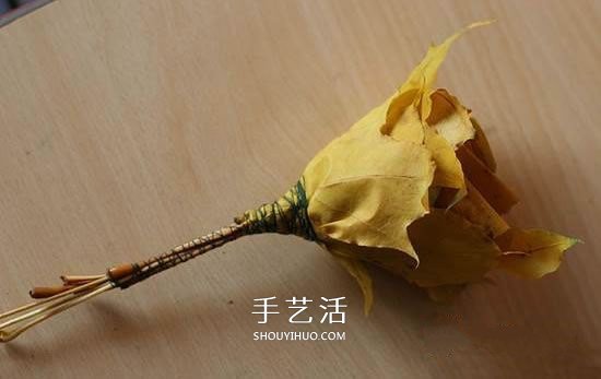 楓葉怎么做玫瑰花教程 簡單楓葉玫瑰DIY方法 -  rpnrmr.com