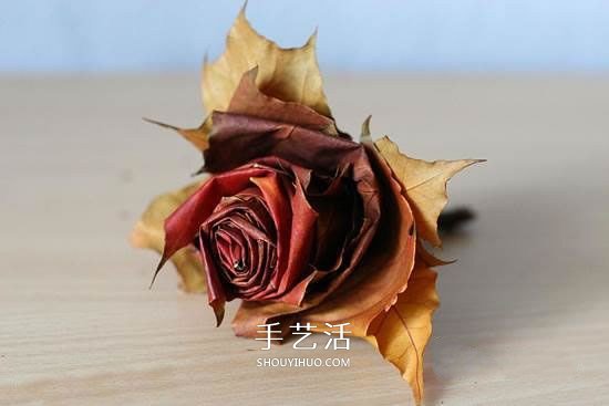 楓葉怎么做玫瑰花教程 簡單楓葉玫瑰DIY方法 -  rpnrmr.com