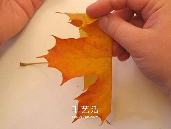 楓葉手工制作玫瑰花苞 樹葉玫瑰花苞的做法 -  rpnrmr.com