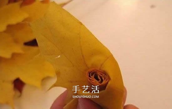 楓葉手工制作玫瑰花苞 樹葉玫瑰花苞的做法 -  rpnrmr.com