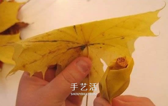 楓葉手工制作玫瑰花苞 樹葉玫瑰花苞的做法 -  rpnrmr.com