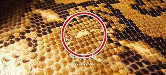 最最詳細(xì)的皮藝教程 手把手教你牛皮錢包制作 -  rpnrmr.com