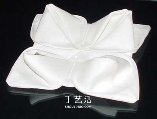 手工餐巾折玫瑰花圖解 漂亮餐具玫瑰花的折法 -  rpnrmr.com