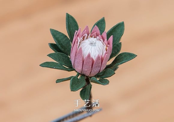 絕對養(yǎng)得活的植物！迷你世界的紙雕玻璃盆栽 -  rpnrmr.com