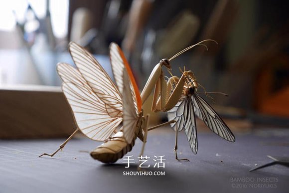 竹子制作的精致昆蟲模型 幾乎和真實(shí)一樣！ -  rpnrmr.com