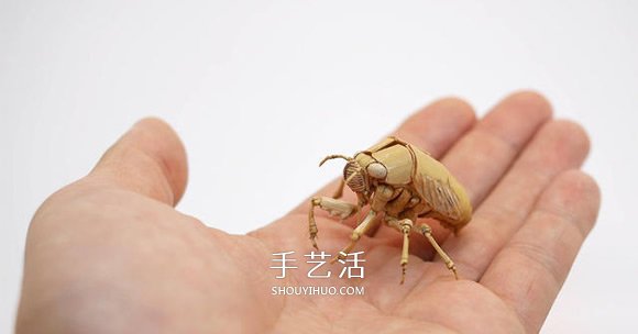 竹子制作的精致昆蟲模型 幾乎和真實(shí)一樣！ -  rpnrmr.com