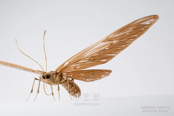 竹子制作的精致昆蟲模型 幾乎和真實(shí)一樣！ -  rpnrmr.com