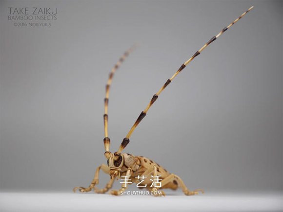 竹子制作的精致昆蟲模型 幾乎和真實(shí)一樣！ -  rpnrmr.com