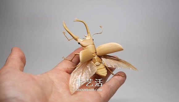 竹子制作的精致昆蟲模型 幾乎和真實(shí)一樣！ -  rpnrmr.com