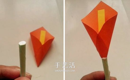 簡(jiǎn)易馬蹄蓮花的做法 幼兒手工制作馬蹄蓮 -  rpnrmr.com
