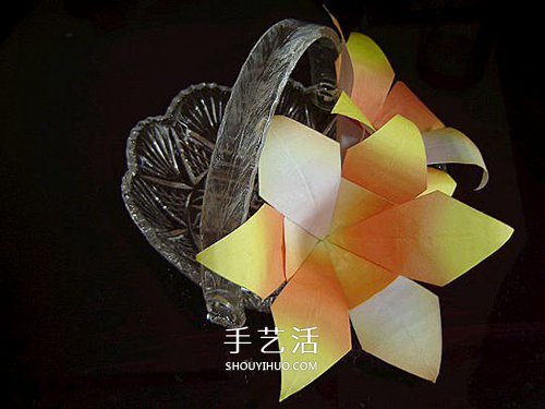 一張紙折百合花圖解 簡單又漂亮百合花折紙 -  rpnrmr.com