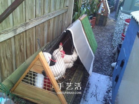 簡易雞舍的建造方法 自制雞舍的教程圖解 -  rpnrmr.com