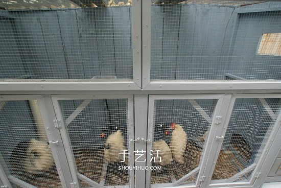 簡易雞舍的建造方法 自制雞舍的教程圖解 -  rpnrmr.com