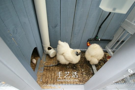 簡易雞舍的建造方法 自制雞舍的教程圖解 -  rpnrmr.com