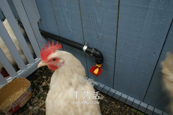 簡易雞舍的建造方法 自制雞舍的教程圖解 -  rpnrmr.com