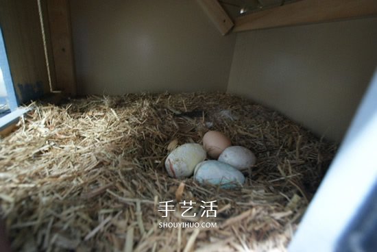 簡易雞舍的建造方法 自制雞舍的教程圖解 -  rpnrmr.com