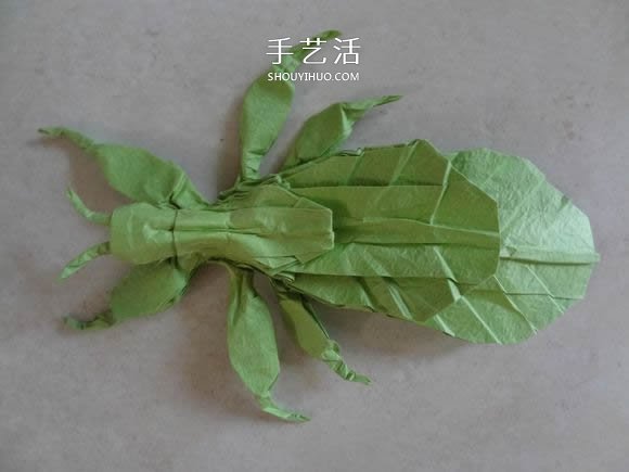 葉蟲的折紙方法圖解 如何折葉子蟲的步驟圖 -  rpnrmr.com