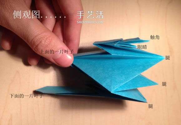 葉蟲的折紙方法圖解 如何折葉子蟲的步驟圖 -  rpnrmr.com