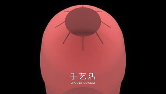 水火箭制作方法圖解 自制水火箭的設(shè)計(jì)與制作 -  rpnrmr.com