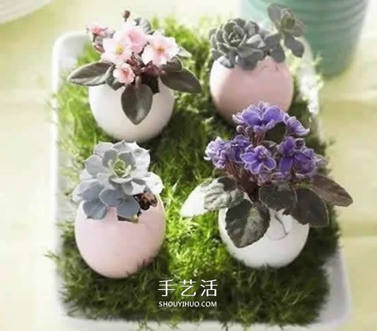 雞蛋殼怎么做花盆圖片 帶來插花般的藝術(shù)美感 -  rpnrmr.com