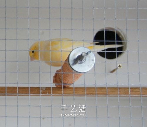 舊書柜改造鳥柜的過程 自制木頭鳥柜的方法 -  rpnrmr.com