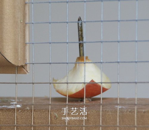 舊書柜改造鳥柜的過程 自制木頭鳥柜的方法 -  rpnrmr.com