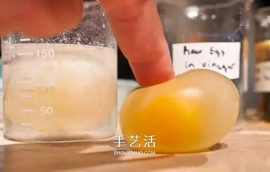 趣味小實(shí)驗(yàn)：用醋溶解掉雞蛋殼的方法 -  rpnrmr.com