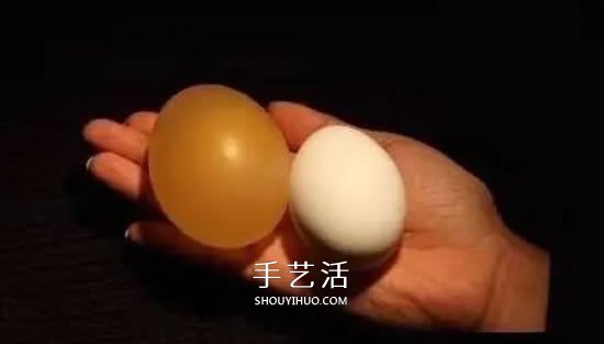 趣味小實(shí)驗(yàn)：用醋溶解掉雞蛋殼的方法 -  rpnrmr.com