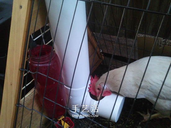 自制T型管道飼料器教程 雞的喂食器做法圖解 -  rpnrmr.com