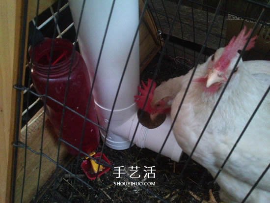 自制T型管道飼料器教程 雞的喂食器做法圖解 -  rpnrmr.com