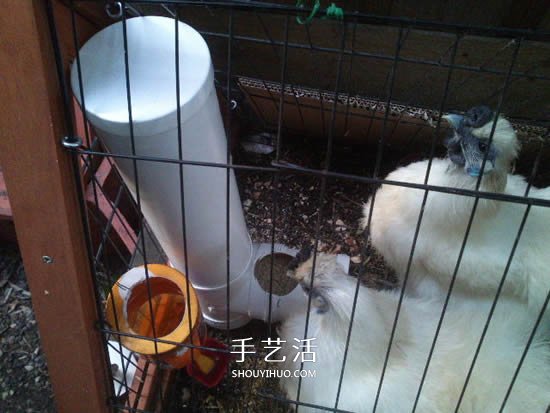 自制T型管道飼料器教程 雞的喂食器做法圖解 -  rpnrmr.com