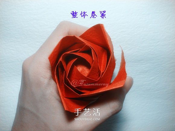 詳細歐美玫瑰的折法圖解 PT玫瑰怎么折步驟圖 -  rpnrmr.com
